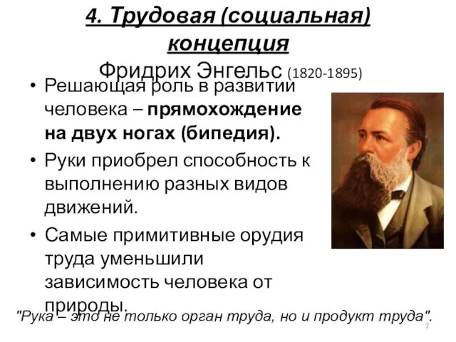 4. Трудовая (социальная) концепция Фридрих Энгельс (1820-1895) Решающая роль в