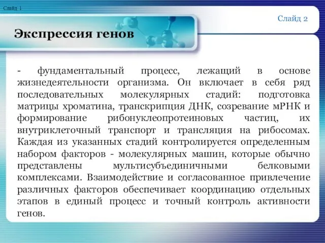 Экспрессия генов - фундаментальный процесс, лежащий в основе жизнедеятельности организма.