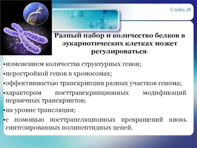 изменением количества структурных генов; перестройкой генов в хромосомах; эффективностью транскрипции