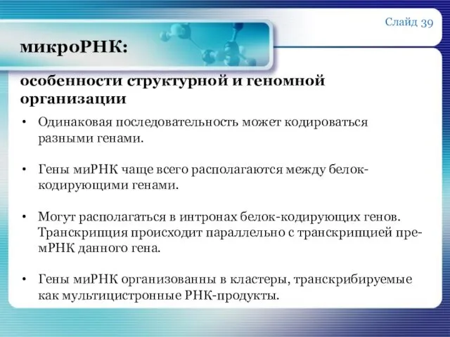 микроРНК: особенности структурной и геномной организации Одинаковая последовательность может кодироваться