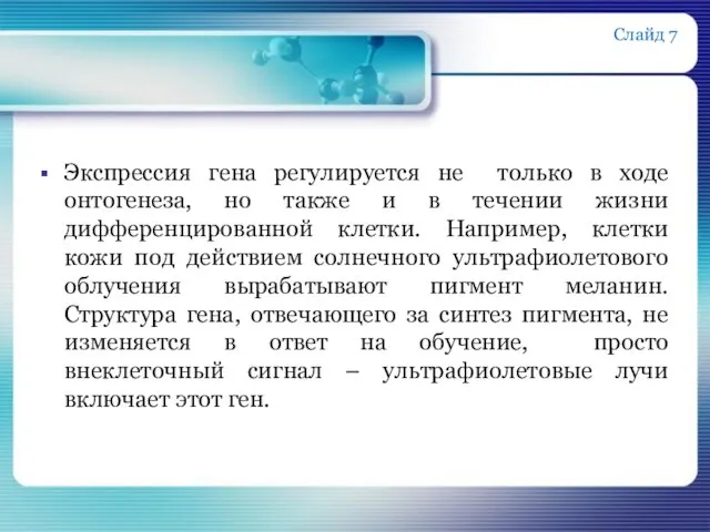 Экспрессия гена регулируется не только в ходе онтогенеза, но также