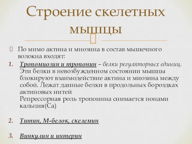 По мимо актина и миозина в состав мышечного волокна входят: