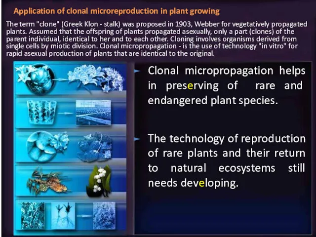 Clonal micropropagation helps in preserving of rare and endangered plant
