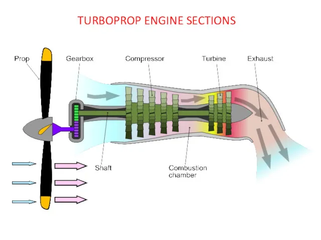 TURBOPROP ENGINE SECTIONS