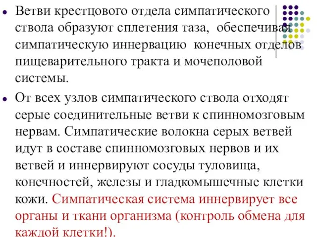 Ветви крестцового отдела симпатического ствола образуют сплетения таза, обеспечивая симпатическую