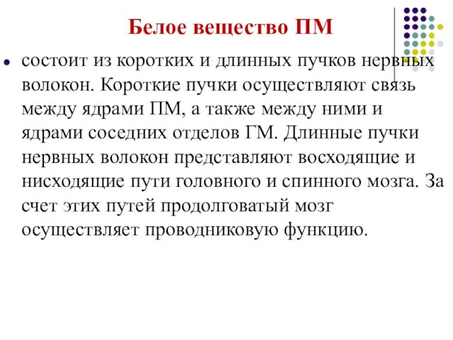 Белое вещество ПМ состоит из коротких и длинных пучков нервных