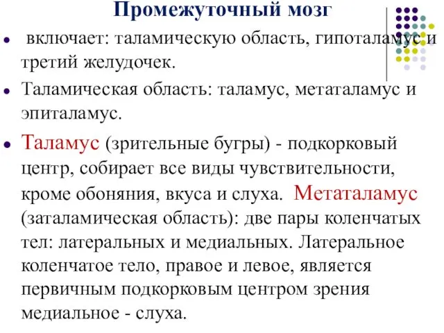 Промежуточный мозг включает: таламическую область, гипоталамус и третий желудочек. Таламическая