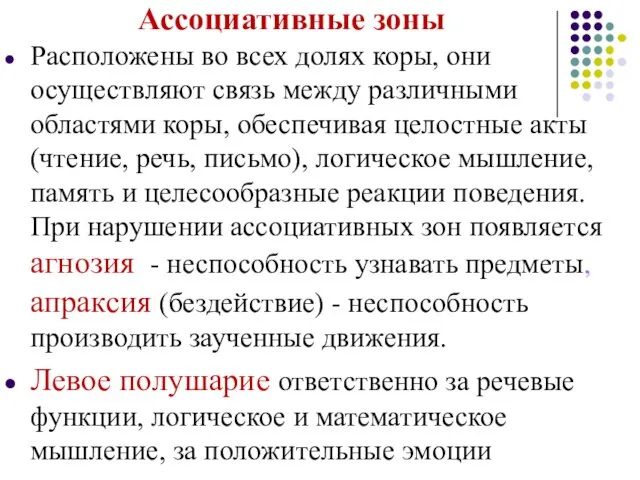 Ассоциативные зоны Расположены во всех долях коры, они осуществляют связь