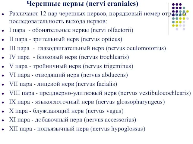 Черепные нервы (nervi craniales) Различают 12 пар черепных нервов, порядковый