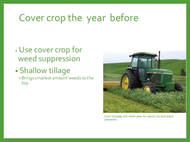 Cover crop the year before Use cover crop for weed