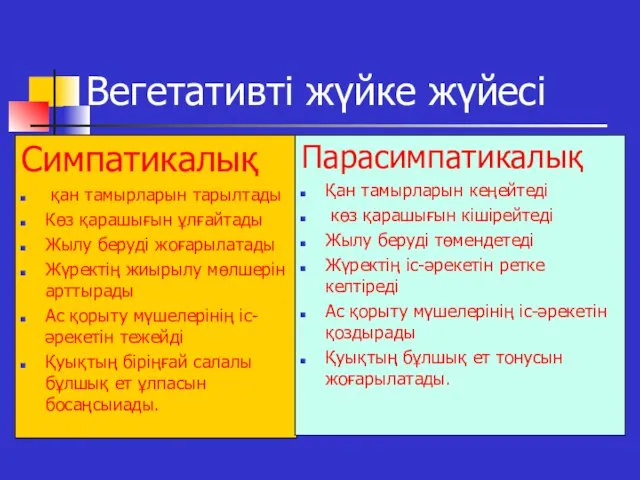 Вегетативті жүйке жүйесі Симпатикалық қан тамырларын тарылтады Көз қарашығын ұлғайтады