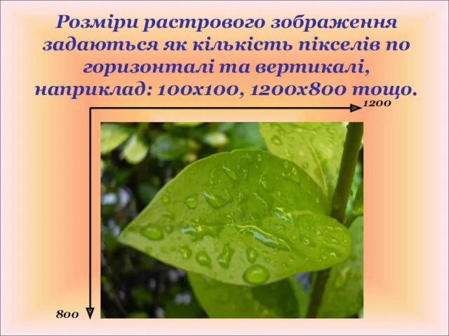 Розміри растрового зображення задаються як кількість пікселів по горизонталі та