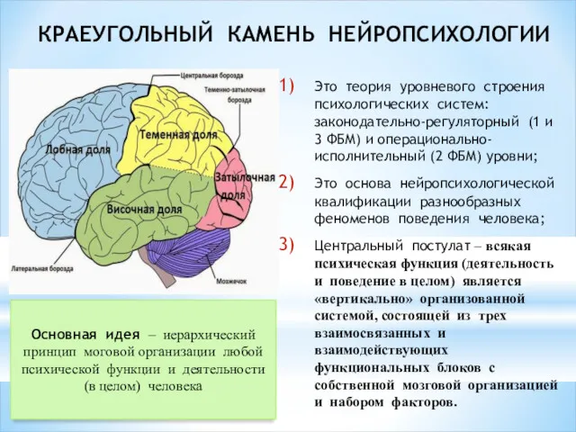 КРАЕУГОЛЬНЫЙ КАМЕНЬ НЕЙРОПСИХОЛОГИИ Это теория уровневого строения психологических систем: законодательно-регуляторный