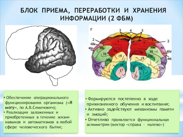 БЛОК ПРИЕМА, ПЕРЕРАБОТКИ И ХРАНЕНИЯ ИНФОРМАЦИИ (2 ФБМ) Обеспечение операционального