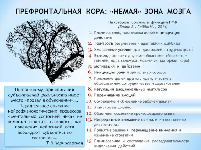 ПРЕФРОНТАЛЬНАЯ КОРА: «НЕМАЯ» ЗОНА МОЗГА По-прежнему, при описании субъективной реальности