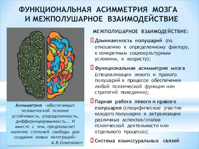 ФУНКЦИОНАЛЬНАЯ АСИММЕТРИЯ МОЗГА И МЕЖПОЛУШАРНОЕ ВЗАИМОДЕЙСТВИЕ МЕЖПОЛУШАРНОЕ ВЗАИМОДЕЙСТВИЕ: Доминантность полушарий