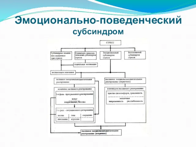 Эмоционально-поведенческий субсиндром