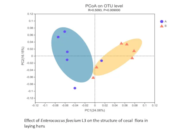 Effect of Enterococcus faecium L3 on the structure of cecal flora in laying hens