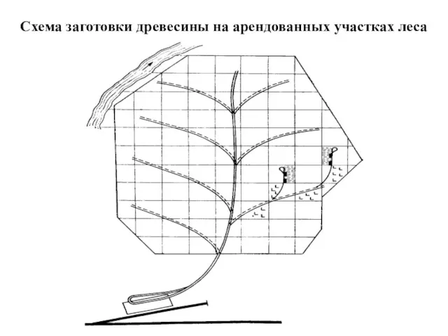 Схема заготовки древесины на арендованных участках леса