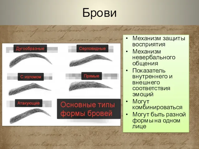 Брови Механизм защиты восприятия Механизм невербального общения Показатель внутреннего и