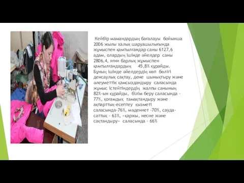 Кейбір мамандардың бағалауы бойынша 2006 жылы халық шаруашылығында жұмыспен қамтылғандар