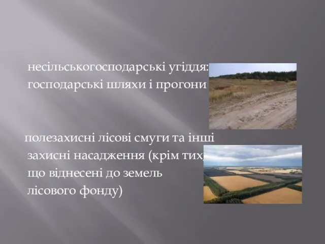 несільськогосподарські угіддя: господарські шляхи і прогони полезахисні лісові смуги та