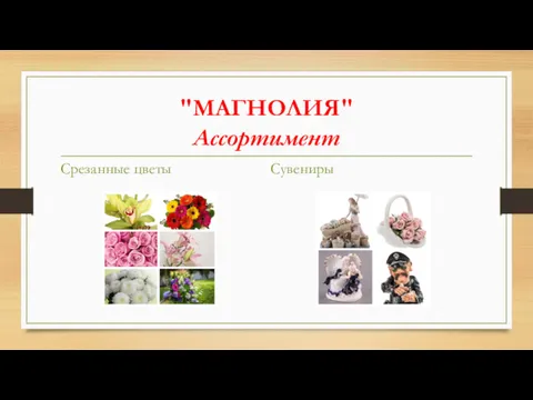 "МАГНОЛИЯ" Ассортимент Срезанные цветы Сувениры