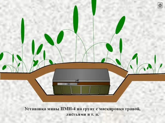 Установка мины ПМН-4 на грунт с маскировка травой, листьями и т. п.