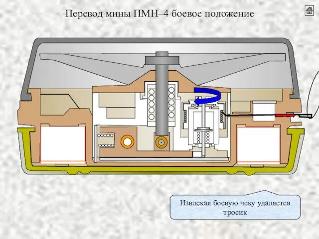 Перевод мины ПМН–4 боевое положение Извлекая боевую чеку удаляется тросик