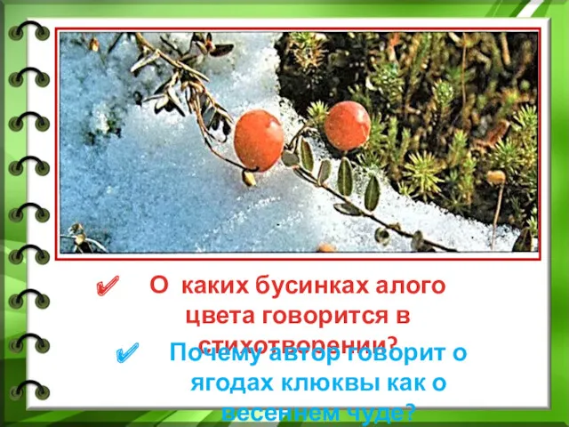 О каких бусинках алого цвета говорится в стихотворении? Почему автор