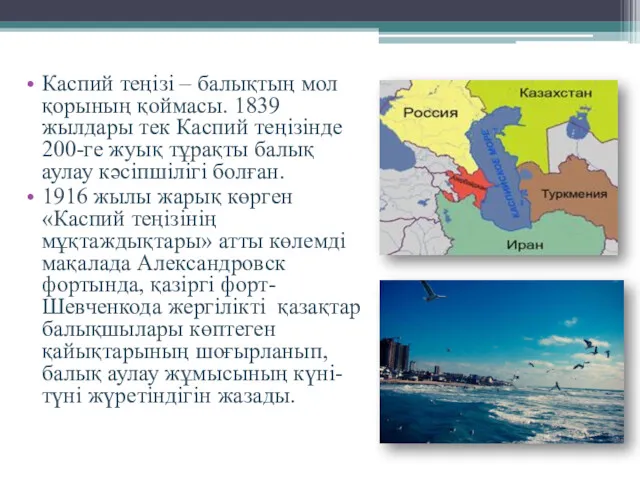 Каспий теңізі – балықтың мол қорының қоймасы. 1839 жылдары тек
