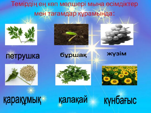 Темірдің ең көп мөлшері мына өсімдіктер мен тағамдар құрамында: қарақұмық күнбағыс петрушка бұршақ жүзім қалақай