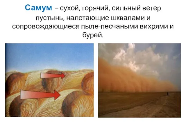 Самум – сухой, горячий, сильный ветер пустынь, налетающие шквалами и сопровождающиеся пыле-песчаными вихрями и бурей.