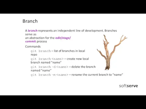 Branch A branch represents an independent line of development. Branches