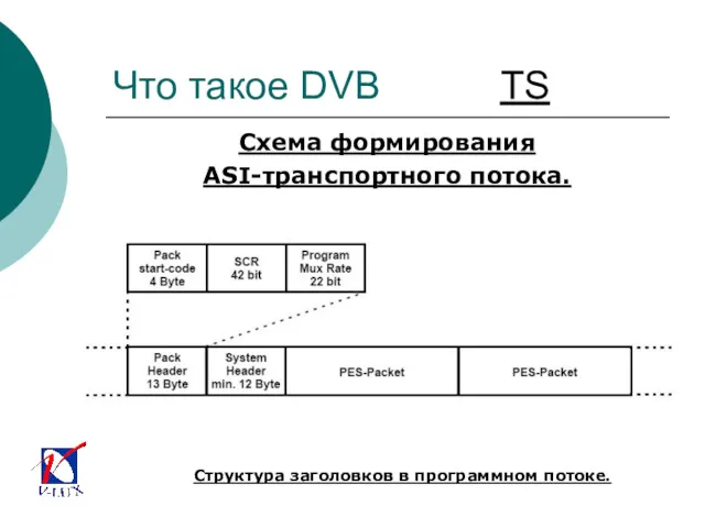 Что такое DVB TS Схема формирования ASI-транспортного потока. Структура заголовков в программном потоке.