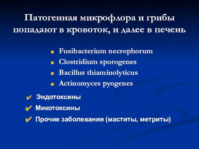 Патогенная микрофлора и грибы попадают в кровоток, и далее в