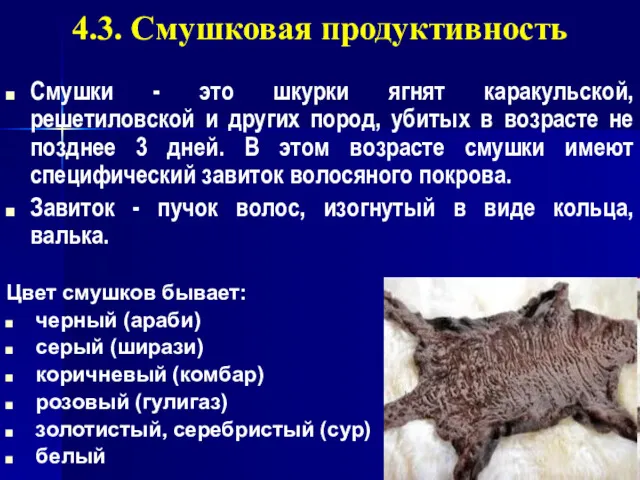 4.3. Смушковая продуктивность Смушки - это шкурки ягнят каракульской, решетиловской