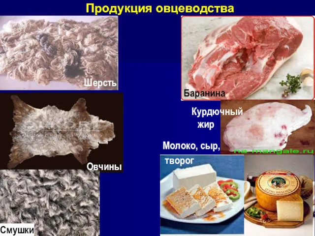 Продукция овцеводства Смушки Баранина Курдючный жир Шерсть Овчины Молоко, сыр, творог