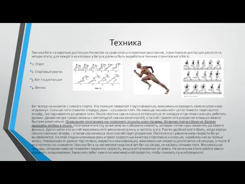 Техника Техника бега на короткие дистанции Несмотря на сравнительно короткое