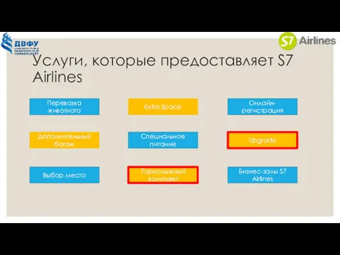 Услуги, которые предоставляет S7 Airlines Перевозка животного Онлайн-регистрация Специальное питание Выбор места Extra