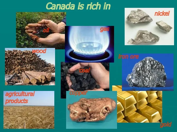 gas oil coal iron ore nickel copper Canada is rich in agricultural products gold wood