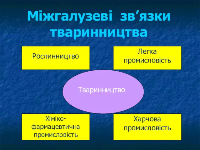 Міжгалузеві зв’язки тваринництва