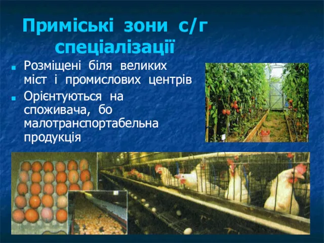 Приміські зони с/г спеціалізації Розміщені біля великих міст і промислових