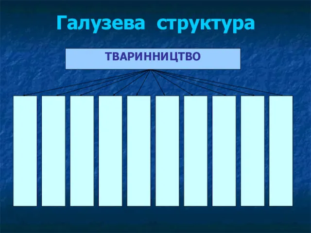 Галузева структура