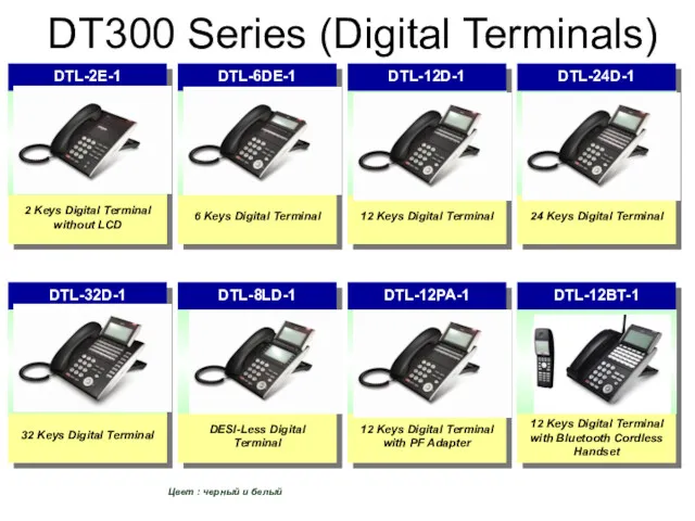 Ｐage DT300 Series (Digital Terminals) 2 Keys Digital Terminal without