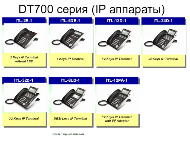 Ｐage DT700 серия (IP аппараты) 2 Keys IP Terminal without