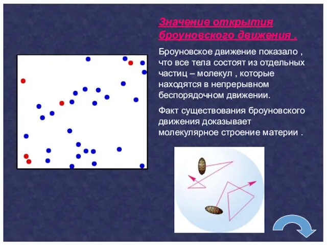 Значение открытия броуновского движения . Броуновское движение показало ,что все