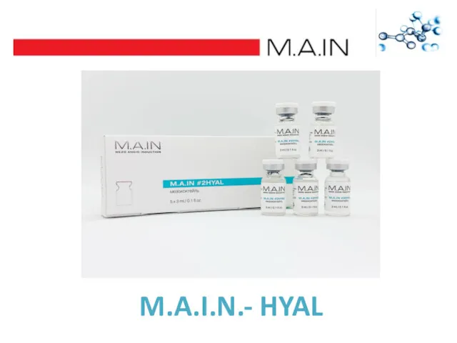 M.A.I.N.- HYAL