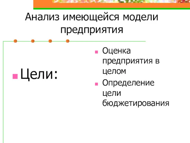 Анализ имеющейся модели предприятия Цели: Оценка предприятия в целом Определение цели бюджетирования