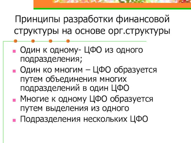 Принципы разработки финансовой структуры на основе орг.структуры Один к одному-